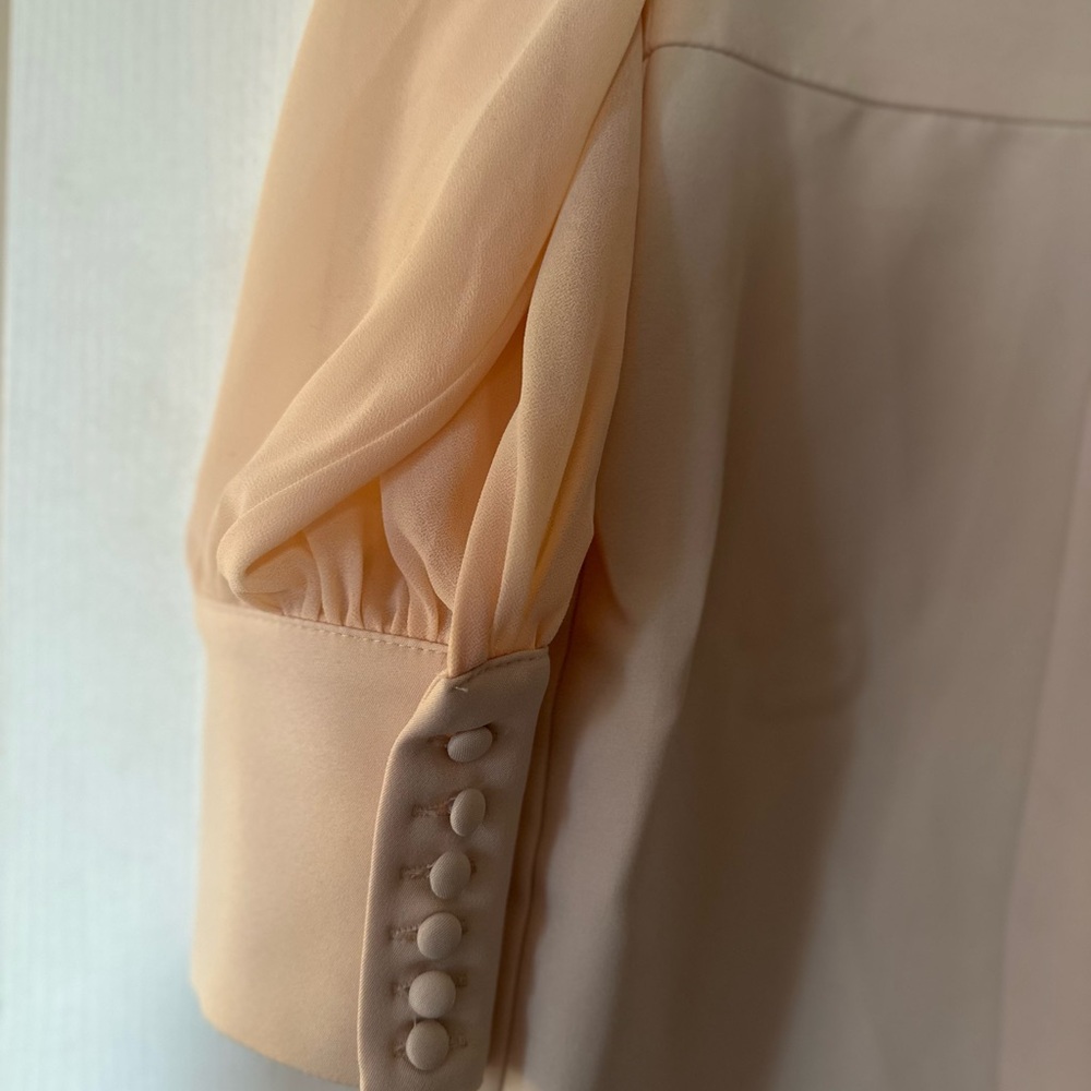 Lavish Alice Elegant Cream Puff Sleeve Dress - Picture 5 of 11